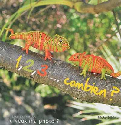 1, 2, 3... combien ? : des images et des chiffres