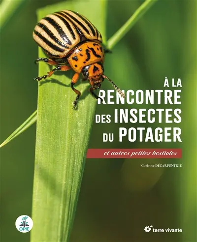 A la rencontre des insectes du potager : et autres petites bestioles