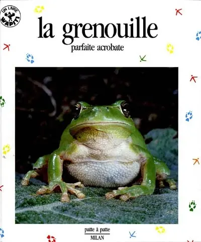 La Grenouille : parfaite acrobate