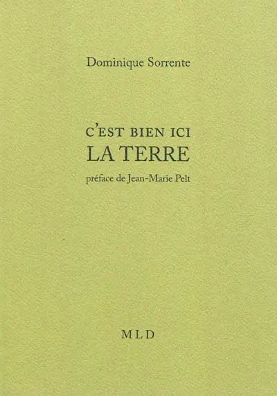 C'est bien ici la Terre