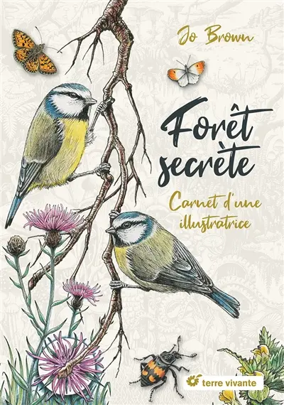 Forêt secrète : carnet d'une illustratrice