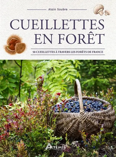 Cueillettes en forêt : 50 cueillettes à travers les forêts de France