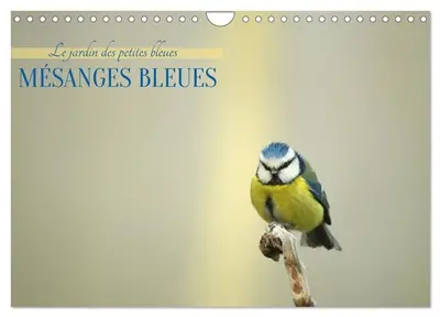 Mésanges bleues (Calendrier mural 2027 DIN A4 vertical), CALVENDO calendrier mensuel : Apportez une touche de nature et de légèreté à votre quotidien avec nos magnifiques calendriers dédiés aux mésanges bleues.
