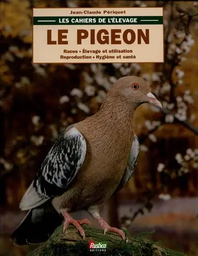 Le pigeon