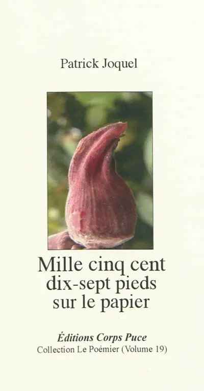 Mille cinq cent dix-sept pieds sur le papier