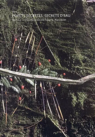 Forêts secrètes, secrets d'eau