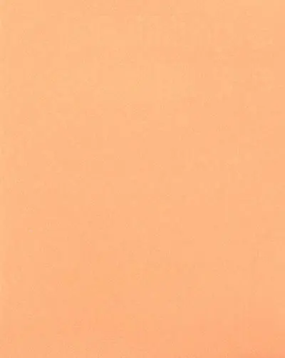 Philippe Cognée : transit : exposition, Angers, Musée des beaux-arts, salle d'exposition temporaire, 19 mars-12 juin 2005