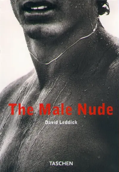 The male nude
