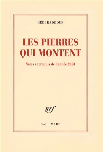 Les pierres qui montent : notes et croquis de l'année 2008