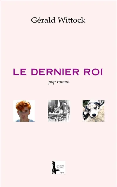 Le dernier roi : pop roman