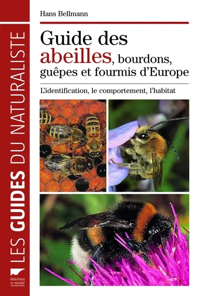 Guide des abeilles, bourdons, guêpes et fourmis d'Europe : l'identification, le comportement, l'habitat