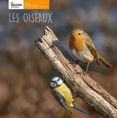 Les oiseaux