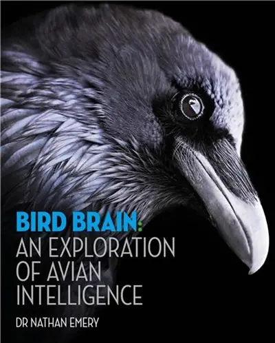 Bird Brain