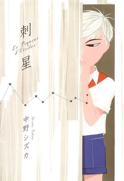 Le piqueur d'étoiles