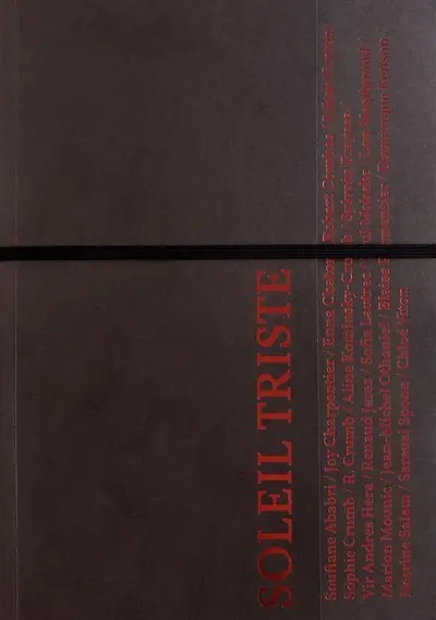 Sol ! La biennale du territoire #2, Soleil triste