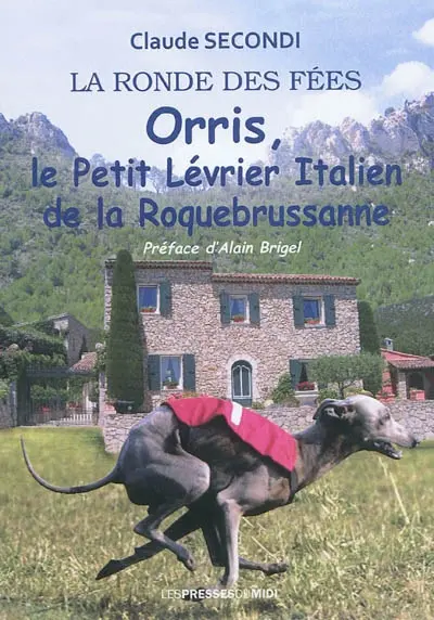 Orris, le petit lévrier italien de la Roquebrussanne