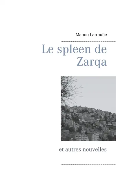 Le spleen de Zarqa : et autres nouvelles