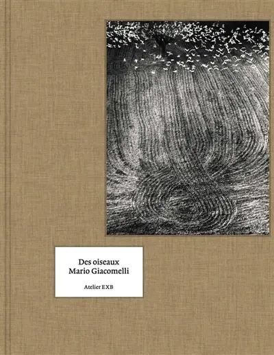 Des oiseaux (en anglais)