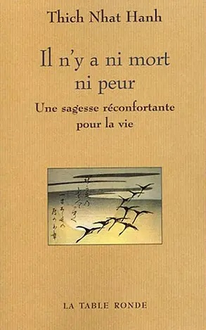 Il n'y a ni mort ni peur : une sagesse réconfortante pour la vie