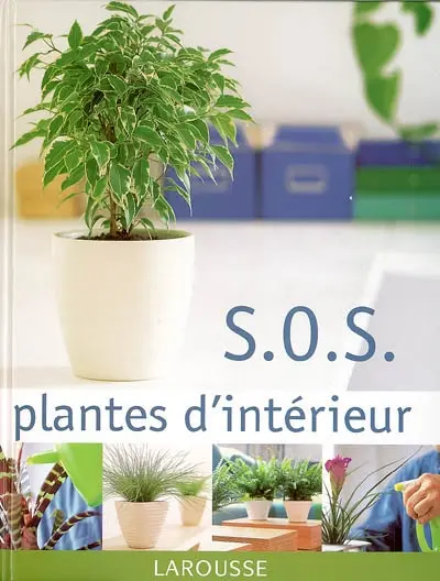 SOS plantes d'intérieur