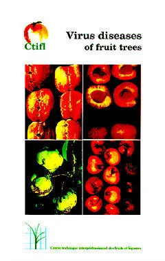 Virus diseases of fruit trees : diseases due to viroids, viruses, phytoplasmas and other undetermined infectious agents