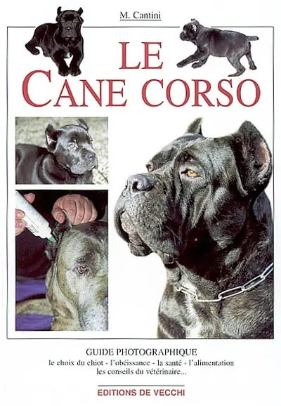 Le cane corso