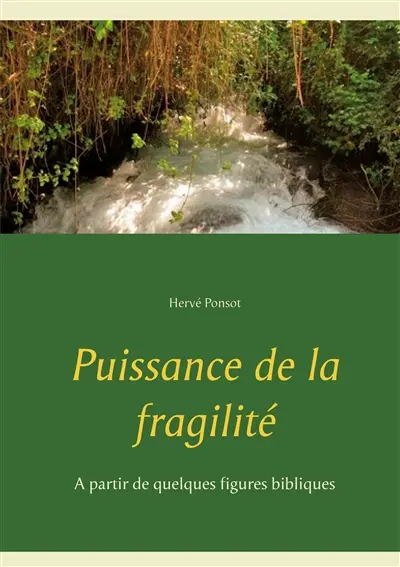 Puissance de la fragilité : A partir de quelques figures bibliques