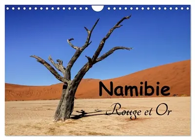 Namibie Rouge et Or (Calendrier mural 2026 DIN A4 vertical), CALVENDO calendrier mensuel : Michel DENIS, photographe et cueilleur d'images, vous fait partager un de ses voyages. Un calendrier pour vous faire rêver sur un pays magnifique : la Namibie