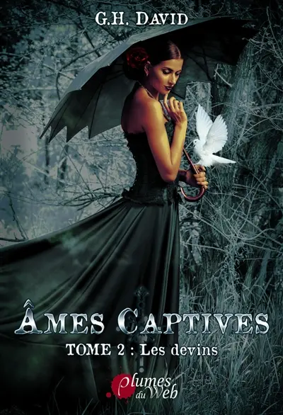 Ames captives. Vol. 2. Les devins