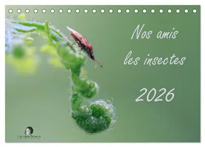 Nos amis les insectes (Calendrier de bureau 2026 DIN A5 vertical), CALVENDO calendrier mensuel : Un regard fascinant sur le monde miniature des insectes.