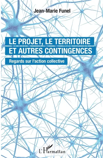 Le projet, le territoire et autres contingences : regards sur l'action collective