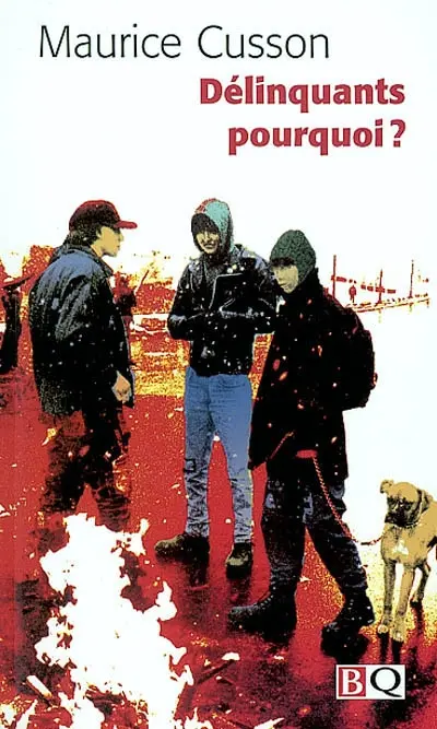 Délinquants pourquoi ?