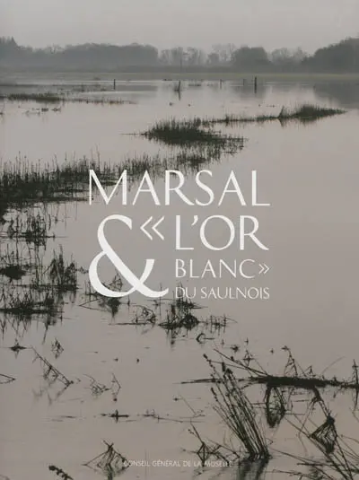 Marsal & l'or blanc du Saulnois : le Musée départemental du sel de Marsal