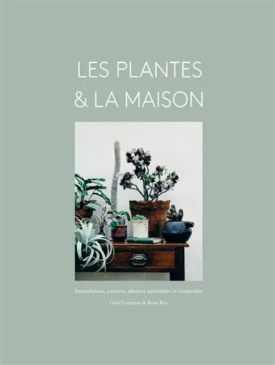 Des plantes aussi étranges que merveilleuses !