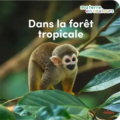 Dans la forêt tropicale