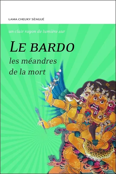 Le bardo : les méandres de la mort