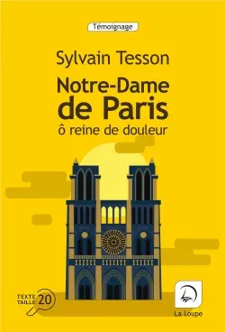 Notre-Dame de Paris : ô reine de douleur
