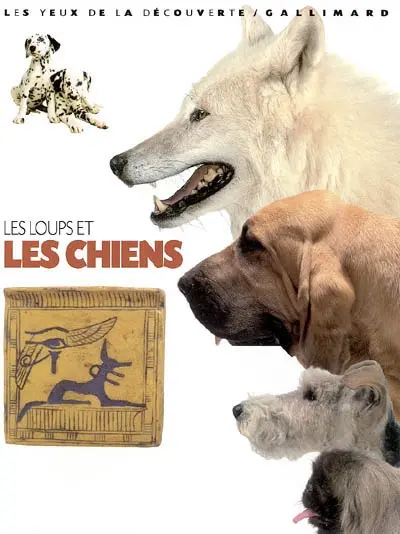 Les loups et les chiens
