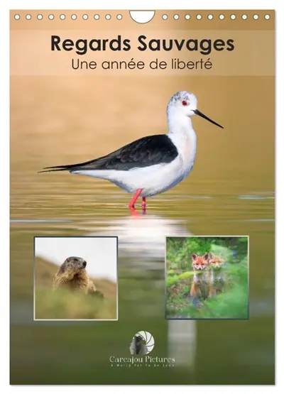 Regards sauvages : Une année de liberté (Calendrier mural 2026 DIN A4 horizontal), CALVENDO calendrier mensuel : Un calendrier captivant qui célèbre, mois après mois, la beauté et la force des animaux sauvages dans toute leur liberté.