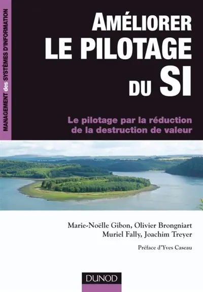 Améliorer le pilotage du SI : le pilotage par la réduction de la destruction de valeur