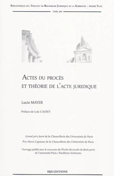 Actes du procès et théorie de l'acte juridique