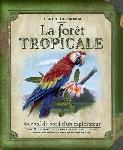 La forêt tropicale : journal de bord d'un explorateur