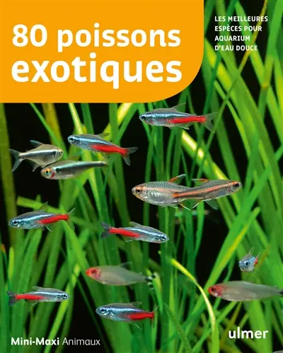 80 poissons exotiques : les meilleures espèces pour aquarium d'eau douce