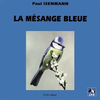 La mésange bleue