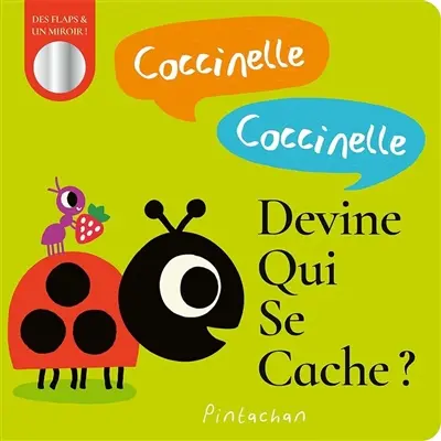 Coccinelle, coccinelle, devine qui se cache ? : des flaps & un miroir !