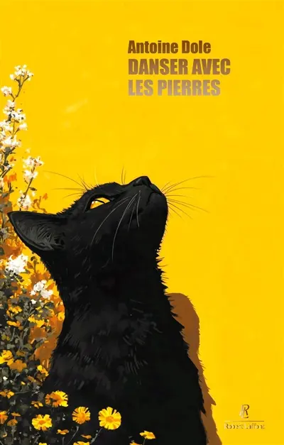 Danser avec les pierres