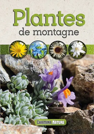Plantes de montagne