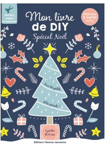 Mon livre de DIY : spécial Noël : pour les petits et les grands !