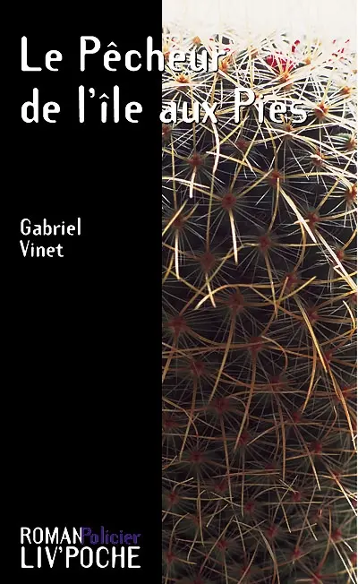 Le pêcheur de l'île aux Pies