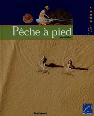 La pêche à pied